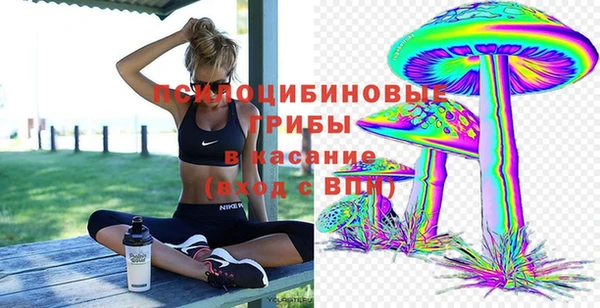 крисы Абдулино