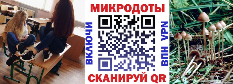 Псилоцибиновые грибы мухоморы Торжок