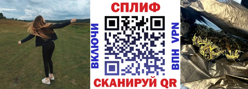 Бошки Шишки семена Торжок
